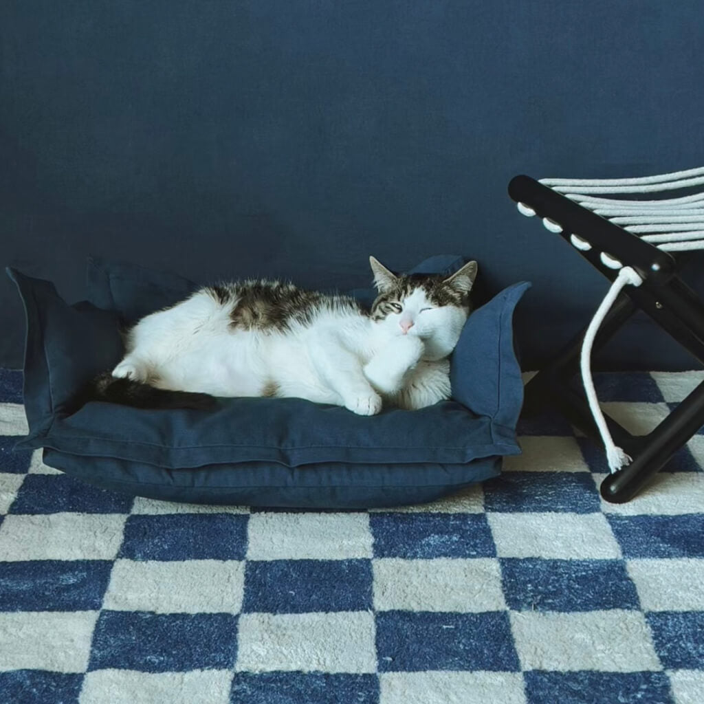 Pet relaxing on the dark blue pet sofa bed with soft, washable pillows and a modern look.