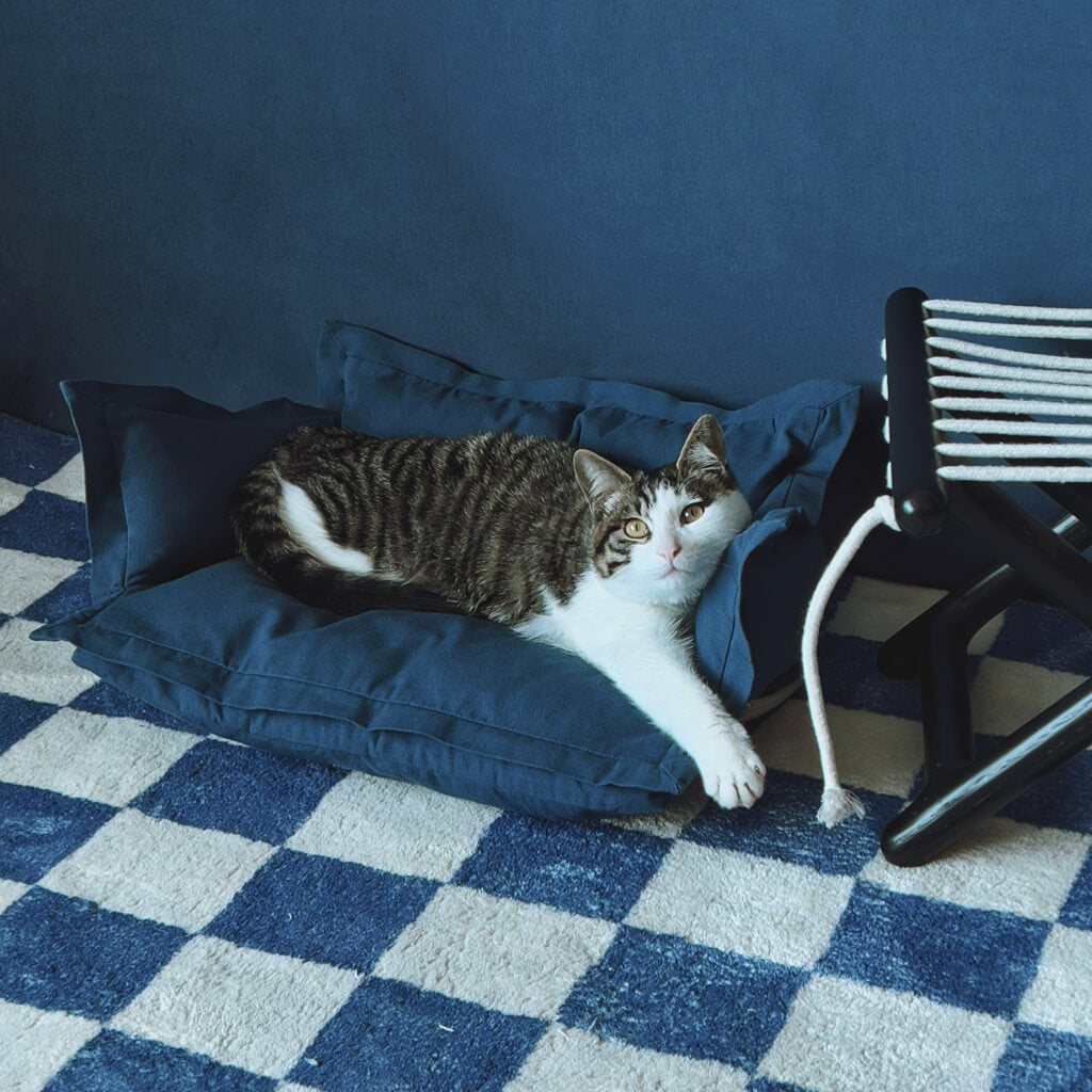 Cat stretching on a plush, supportive pet sofa bed - My Blueberry Night edition.