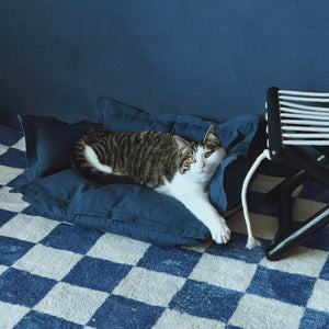 Cat stretching on a plush, supportive pet sofa bed - My Blueberry Night edition.