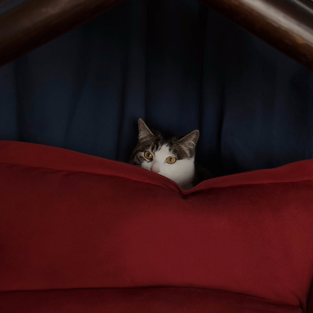 Cozy Pet Sofa Bed - Pillow #20 Burgundy