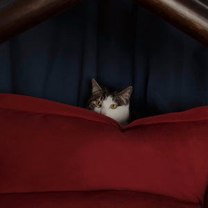 Cozy Pet Sofa Bed - Pillow #20 Burgundy