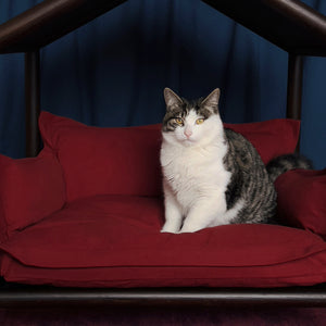 Cozy Pet Sofa Bed - Pillow #20 Burgundy