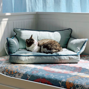  Cat relaxing on Cozy Pet Sofa Bed - Piped #23 Zweig, surrounded by natural light.