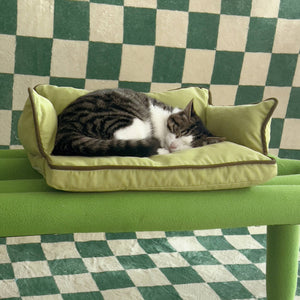 Cat resting on the Cozy Pet Sofa Bed - Piped #32 Summer Maple + #31 Jun Green, adding a chic touch to home interiors.