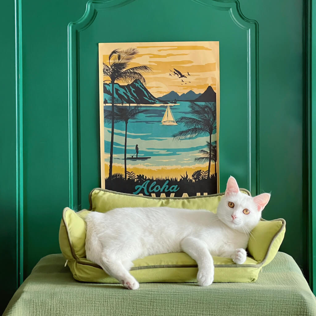 White cat stretched out on the Cozy Pet Sofa Bed - Piped #32 Summer Maple + #31 Jun Green, set against a vibrant Aloha-themed backdrop.