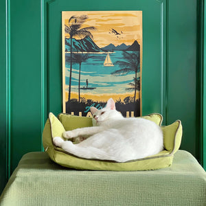 Cat peacefully curled up on the Cozy Pet Sofa Bed - Piped #32 Summer Maple + #31 Jun Green, basking in the sunlight.