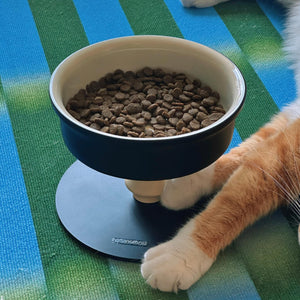 Close-up: Bamboo Island elevated ceramic pet bowl filled with kibble; stable pedestal base near cat paws.