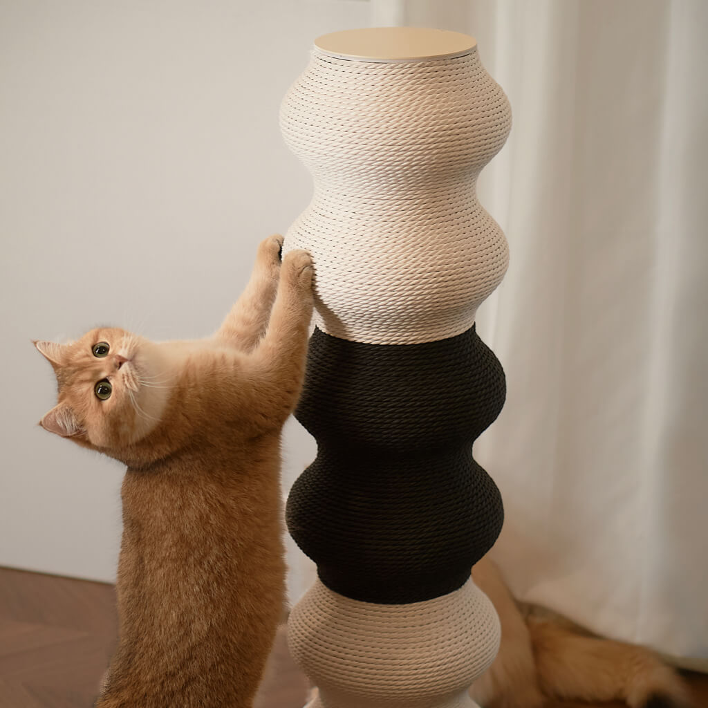Ginger cat scratching the upper white module of the Coral Cat Scratcher — minimalist wavy black & white design.