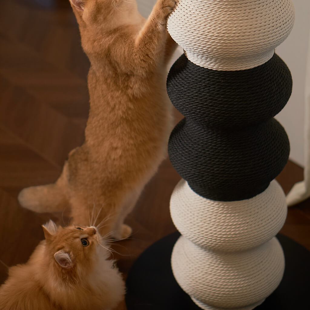 Two ginger cats using the Coral Cat Scratcher; close-up of wavy black middle modules and stable round base.