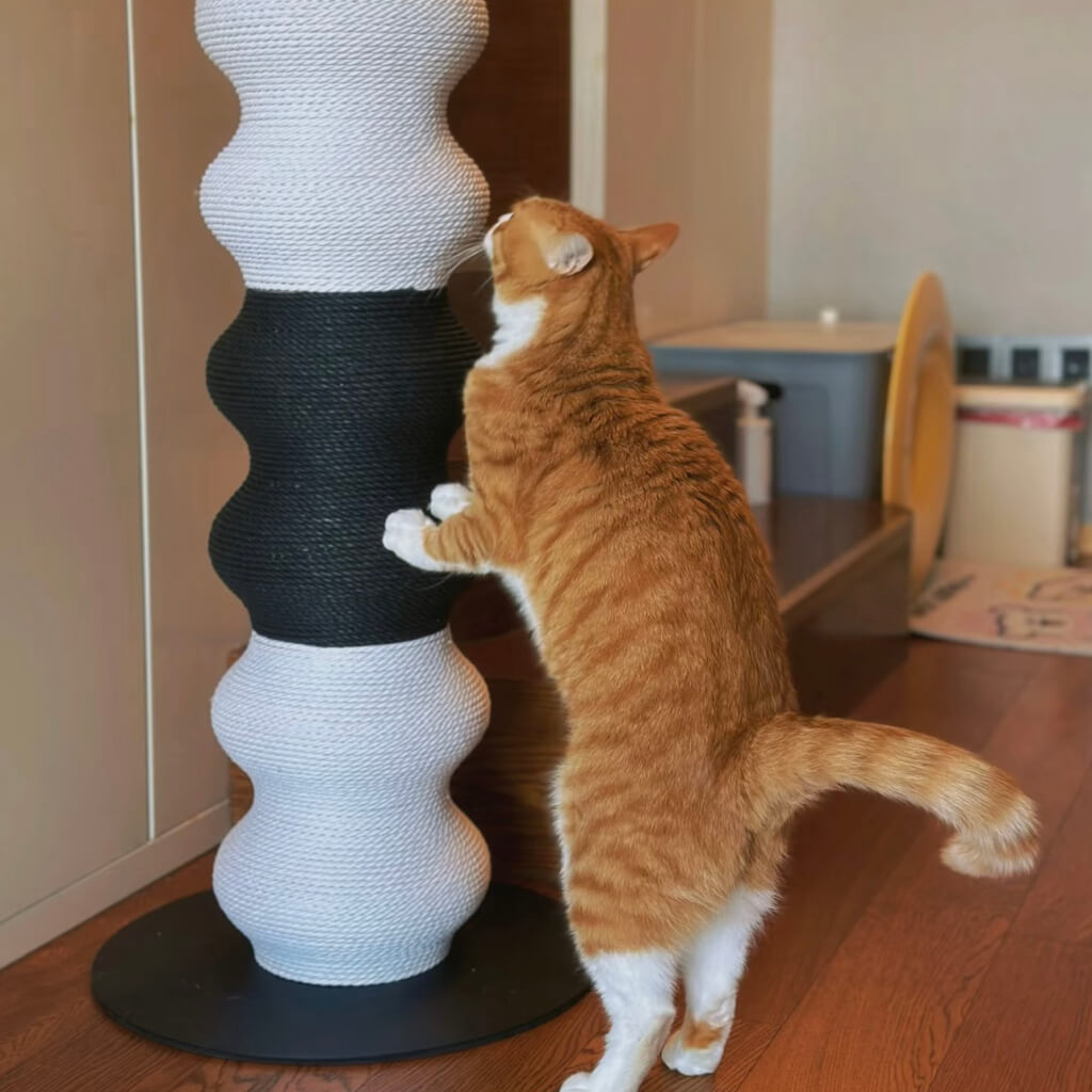 Orange tabby reaching up the Coral Cat Scratcher — tall wavy black & white indoor cat scratching post.