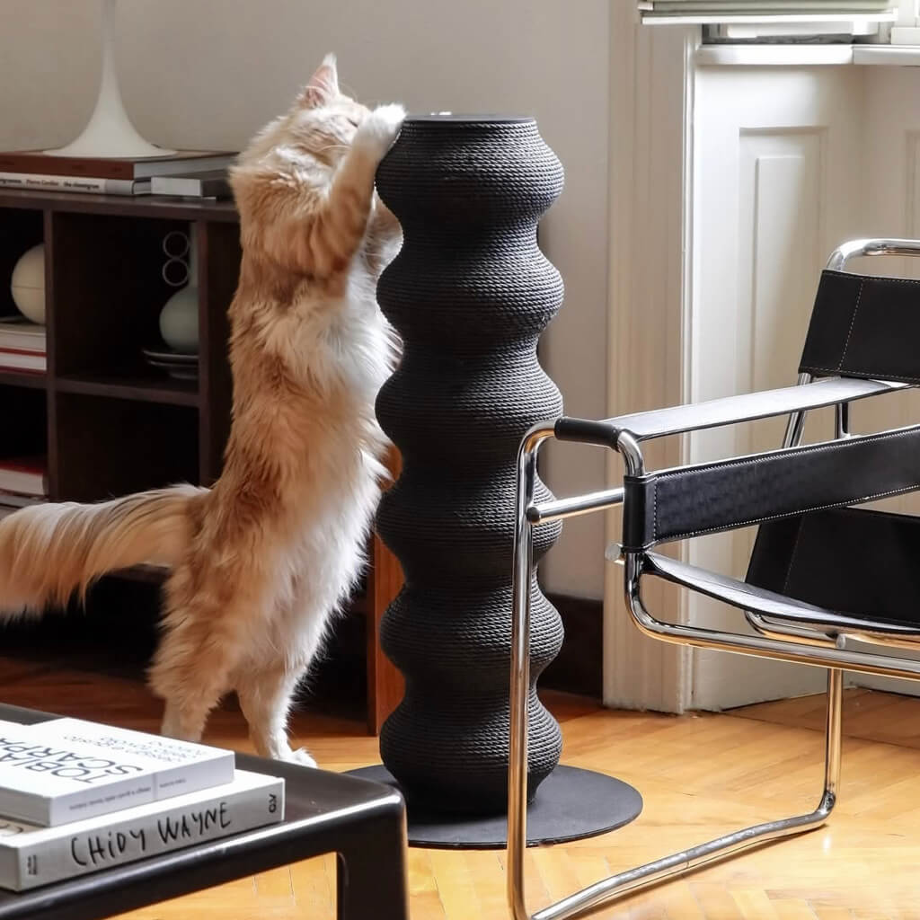 Momoland Coral Scratcher – Minimalist Wavy Cat Scratching Post in Black; tall vertical scratch tower with stable base; long-haired cat stretching in modern living room.