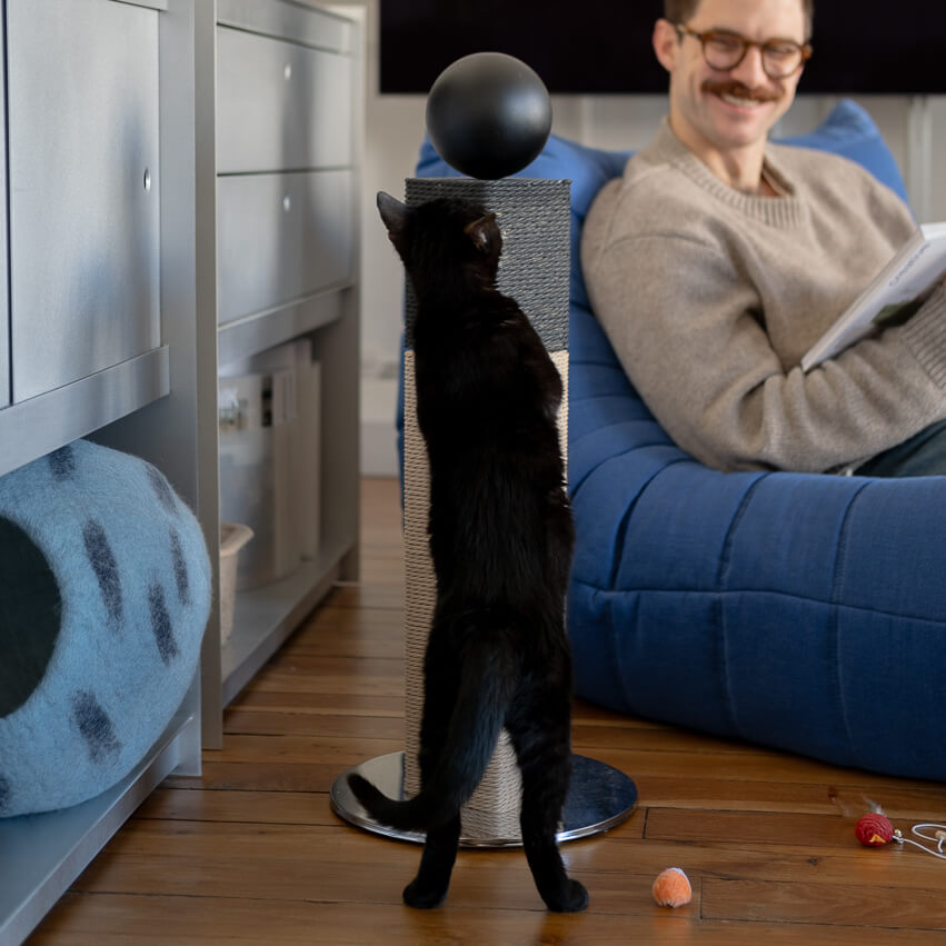 Black cat enjoying the Modern Matchstick Cat Scratching Post in a cozy, design-forward living room. The scratching post’s minimalist design, featuring a black sphere and sisal rope, fits seamlessly into mid-century modern and Scandinavian decor. A stylish solution for cat lovers who value functionality and aesthetics.