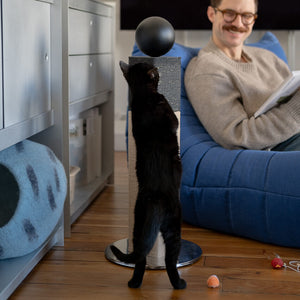 Black cat enjoying the Modern Matchstick Cat Scratching Post in a cozy, design-forward living room. The scratching post’s minimalist design, featuring a black sphere and sisal rope, fits seamlessly into mid-century modern and Scandinavian decor. A stylish solution for cat lovers who value functionality and aesthetics.