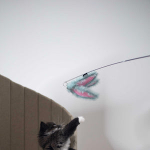 A small kitten reaching towards a pale bamboo leaf-shaped teaser on a rod, perfect for stimulating a cat's playful instincts.