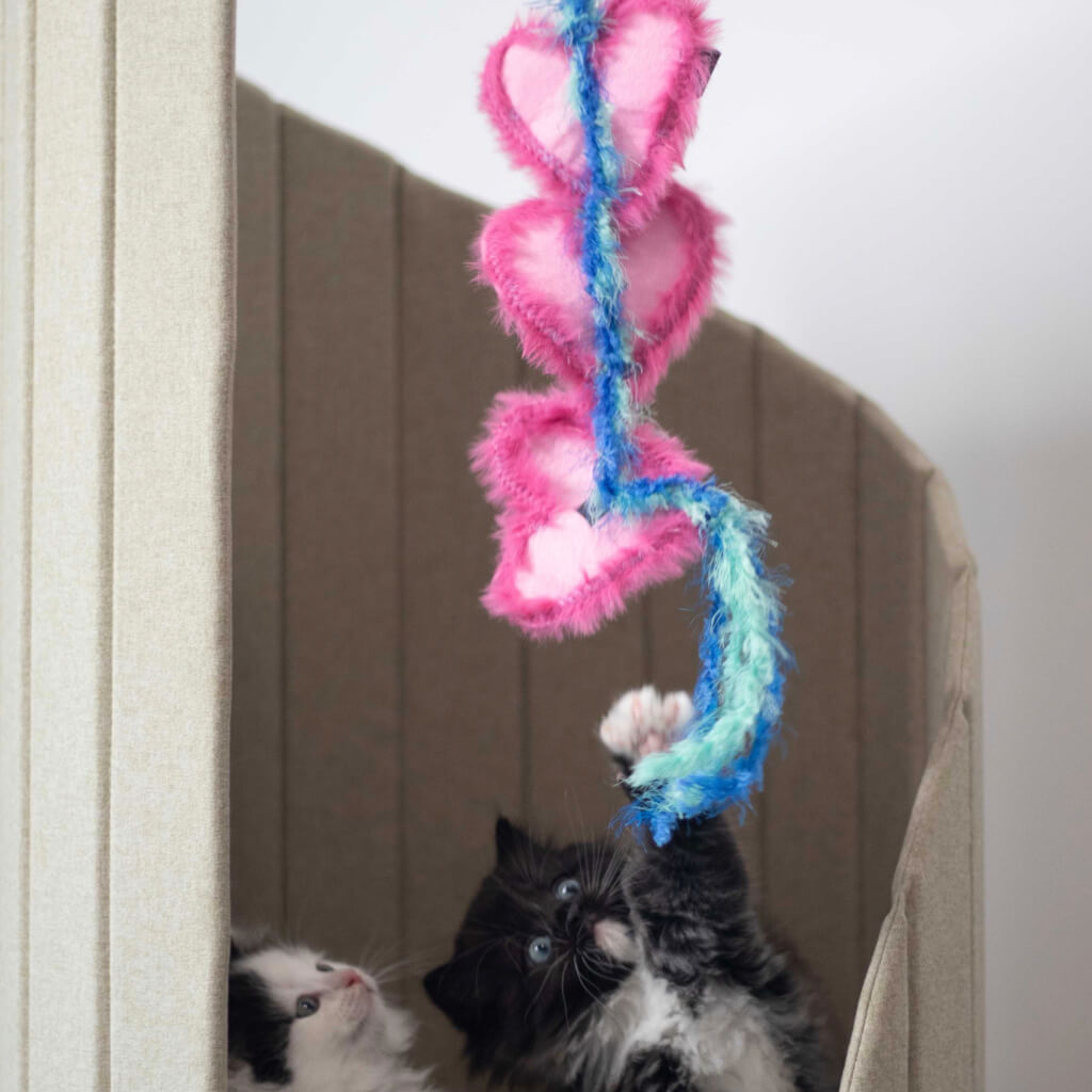 Two kittens eagerly playing with a hanging pink heart-shaped cat teaser inside a cozy play area, encouraging feline exercise and fun.