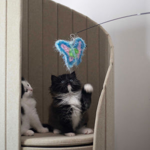 Two kittens focusing on a hanging blue butterfly-shaped attachment from the bamboo cat teaser, providing interactive play for kittens.
