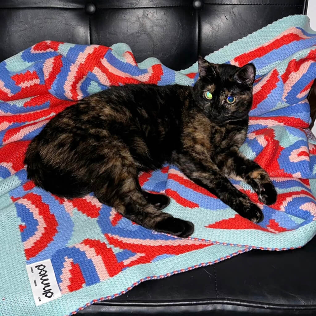 Cat lounging on a colorful knitted blanket, adding comfort and style to your home decor.
