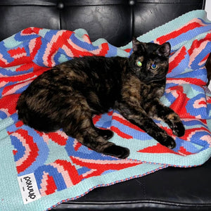 Cat lounging on a colorful knitted blanket, adding comfort and style to your home decor.