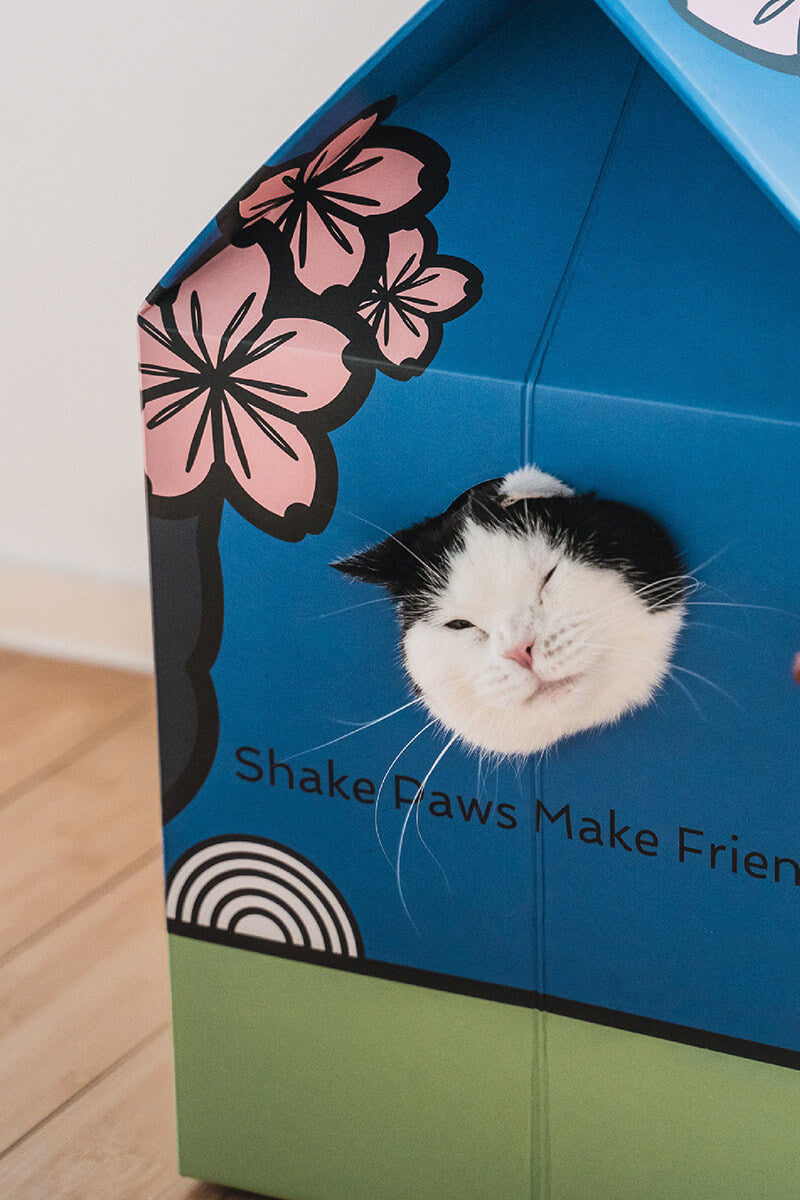 A cat peeks through the Sakura-themed Bonsai MilkBox Cat House with playful cherry blossom design.