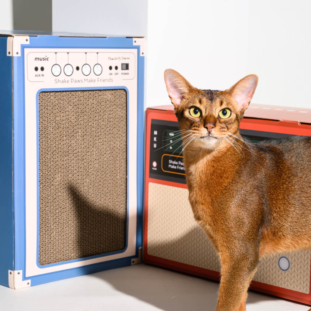 Close-up of Abyssinian cat beside Pawzcity speaker-inspired cat house and red stereo-style scratcher box – retro design pet furniture.