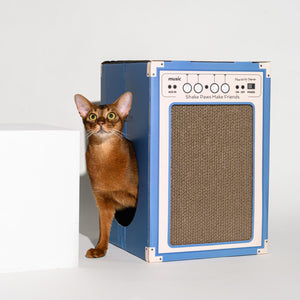 Brown cat stepping out of the blue Pawzcity scratcher cat house – creative speaker-shaped pet house for cats.