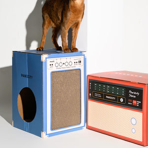 Cat standing on top of blue Pawzcity speaker cat house next to red stereo scratcher – fun and decorative dual cat furniture set.