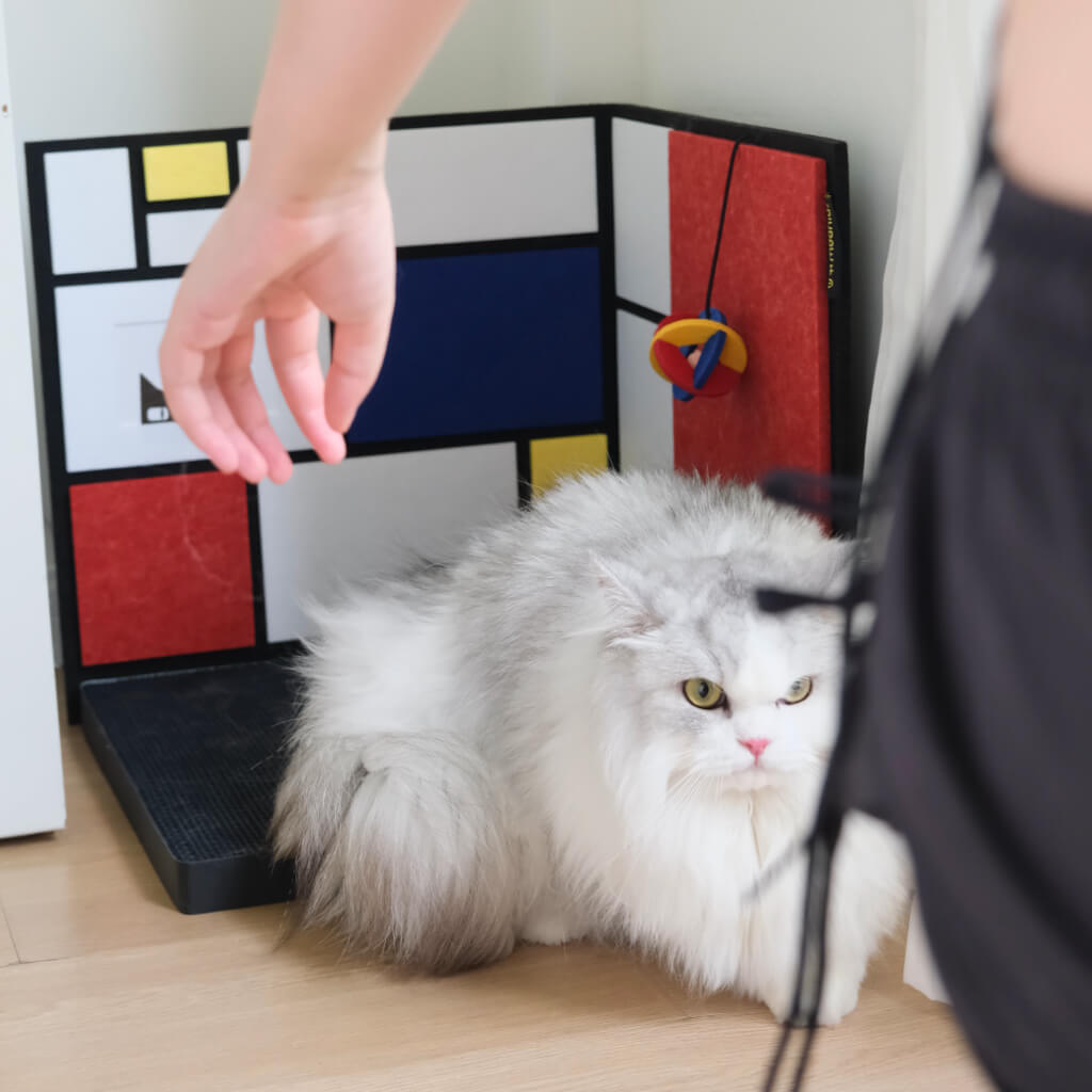 Long-haired cat sitting inside L-shaped corner scratcher — vertical panels, textured base, hanging toy.