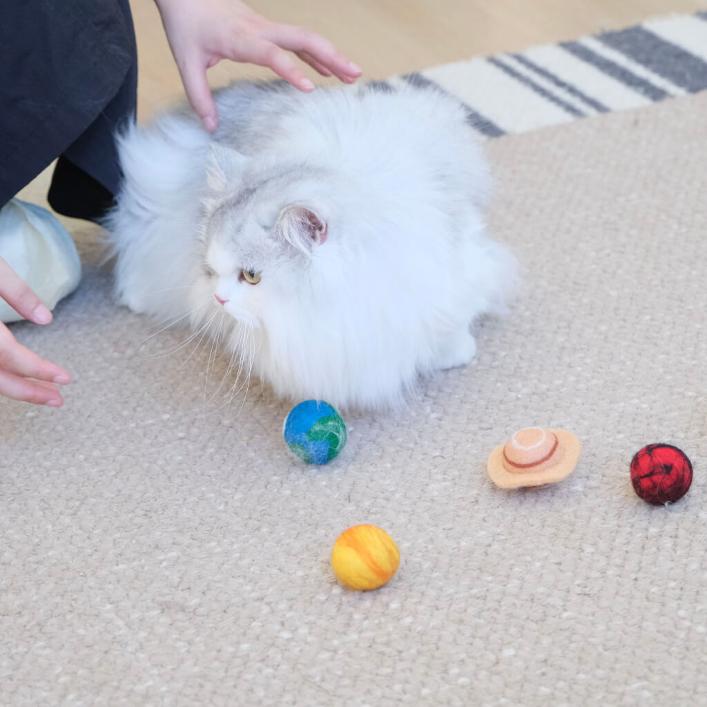 Cat on rug with four planet felt balls — interactive indoor exercise toys.