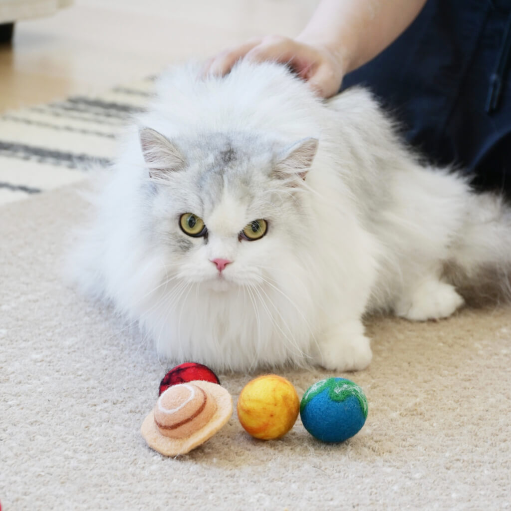 Cat posing with Earth, Sun, Mars and Saturn felt balls — planet cat toy set.