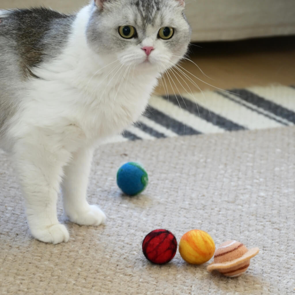 Grey-white cat near planet felt balls — jingle and silent wool balls for play.