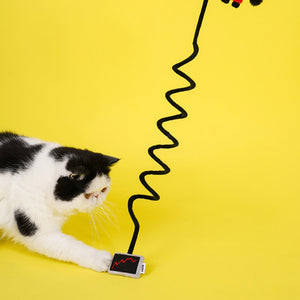Cat pawing at felt stock screen on interactive bull market cat toy