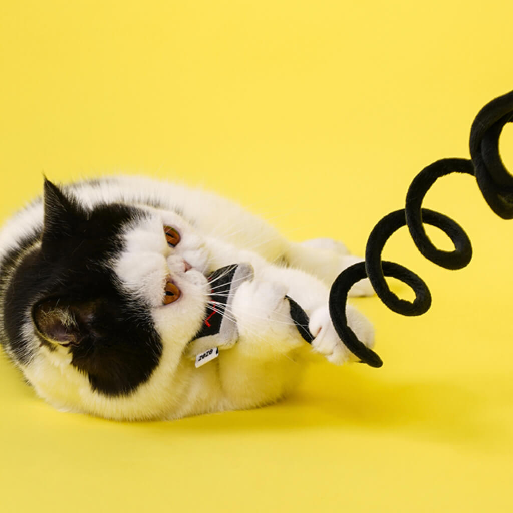 Close-up of cat biting stock market screen on plush catnip toy with twisty cord