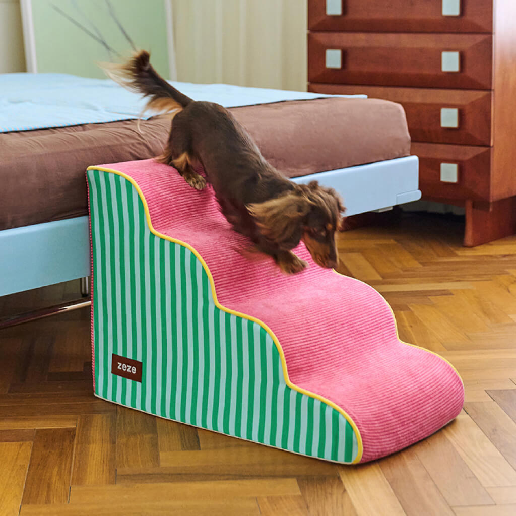 Dog using a pink and green striped pet ramp in a bedroom setting.