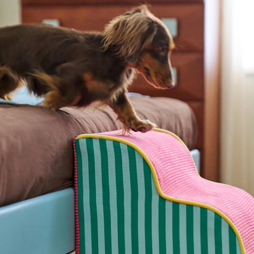 Small dog climbing ZEZE non-slip foam stairs beside the bed—gentle step height for puppies, seniors & cats.