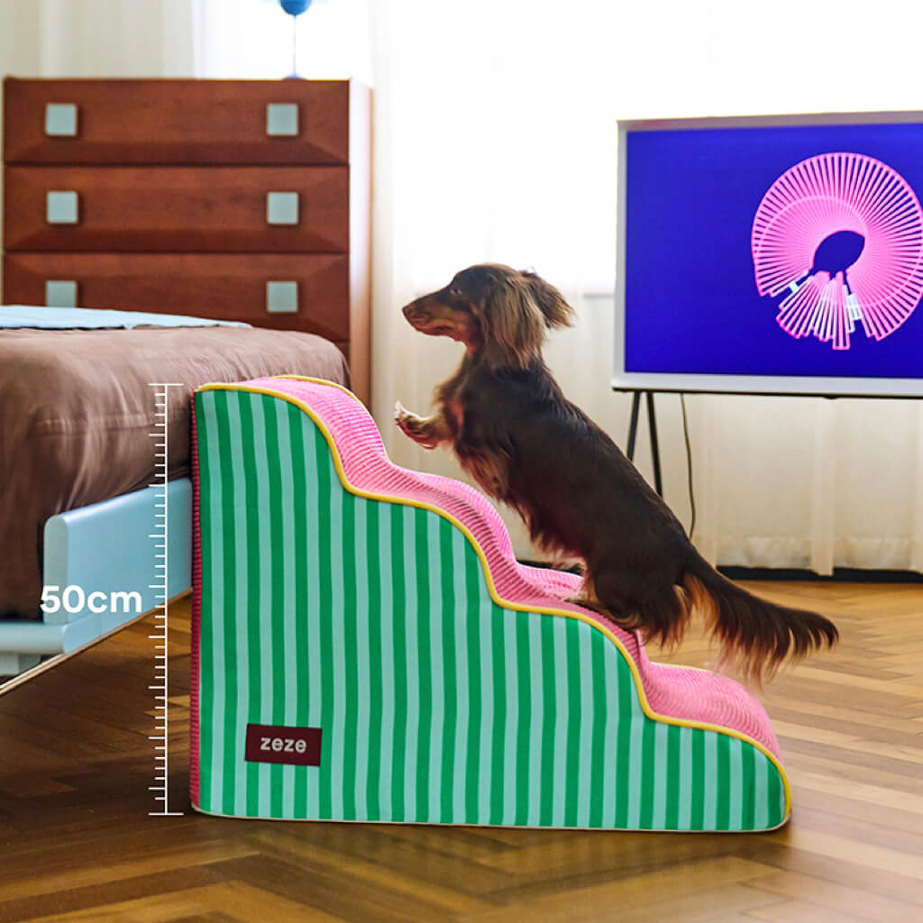 ZEZE foam pet stairs reaching a 50 cm bed—secure traction and stable base for sofa/bed access.