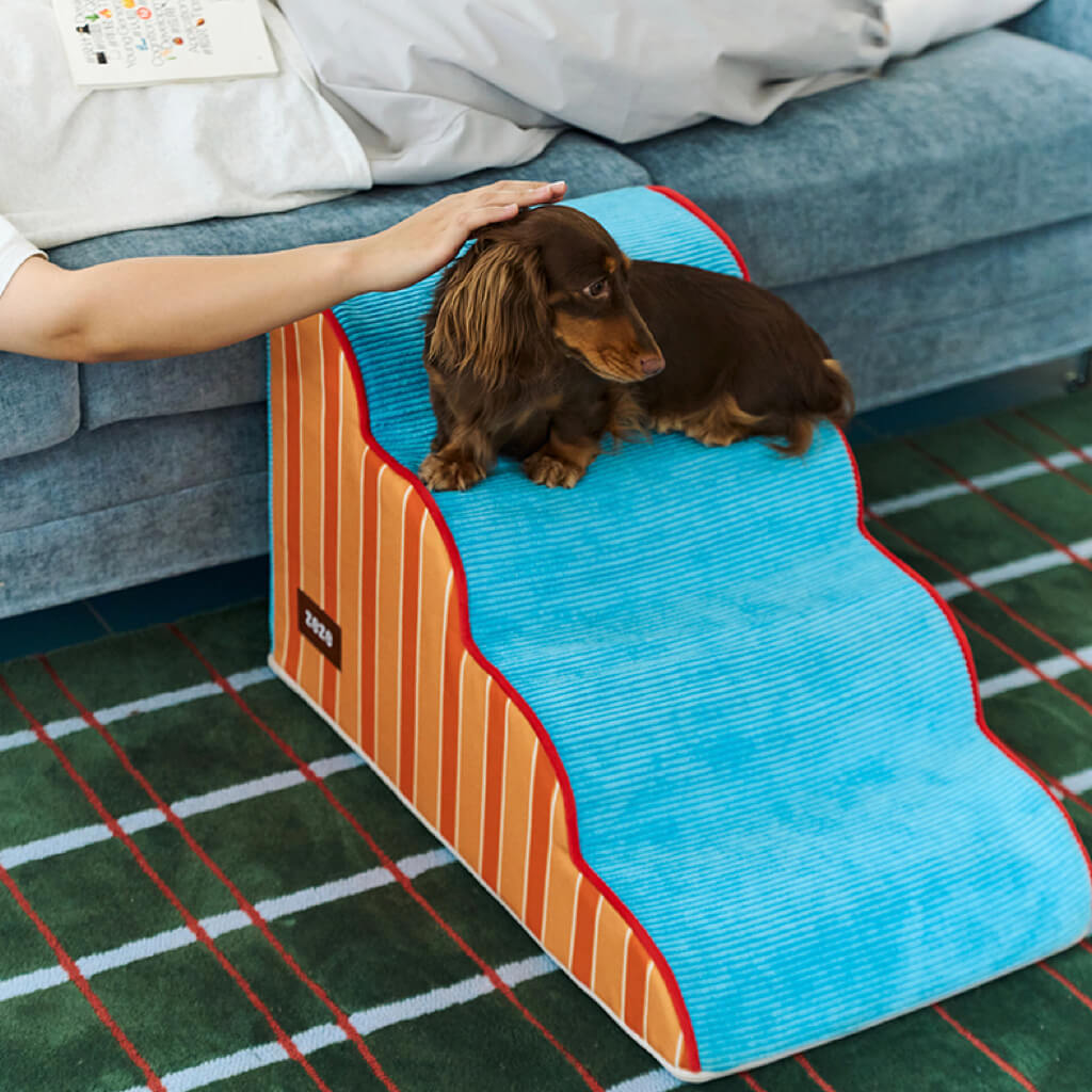 Dachshund resting on ZEZE foam pet stairs next to sofa—soft corduroy surface and supportive steps.