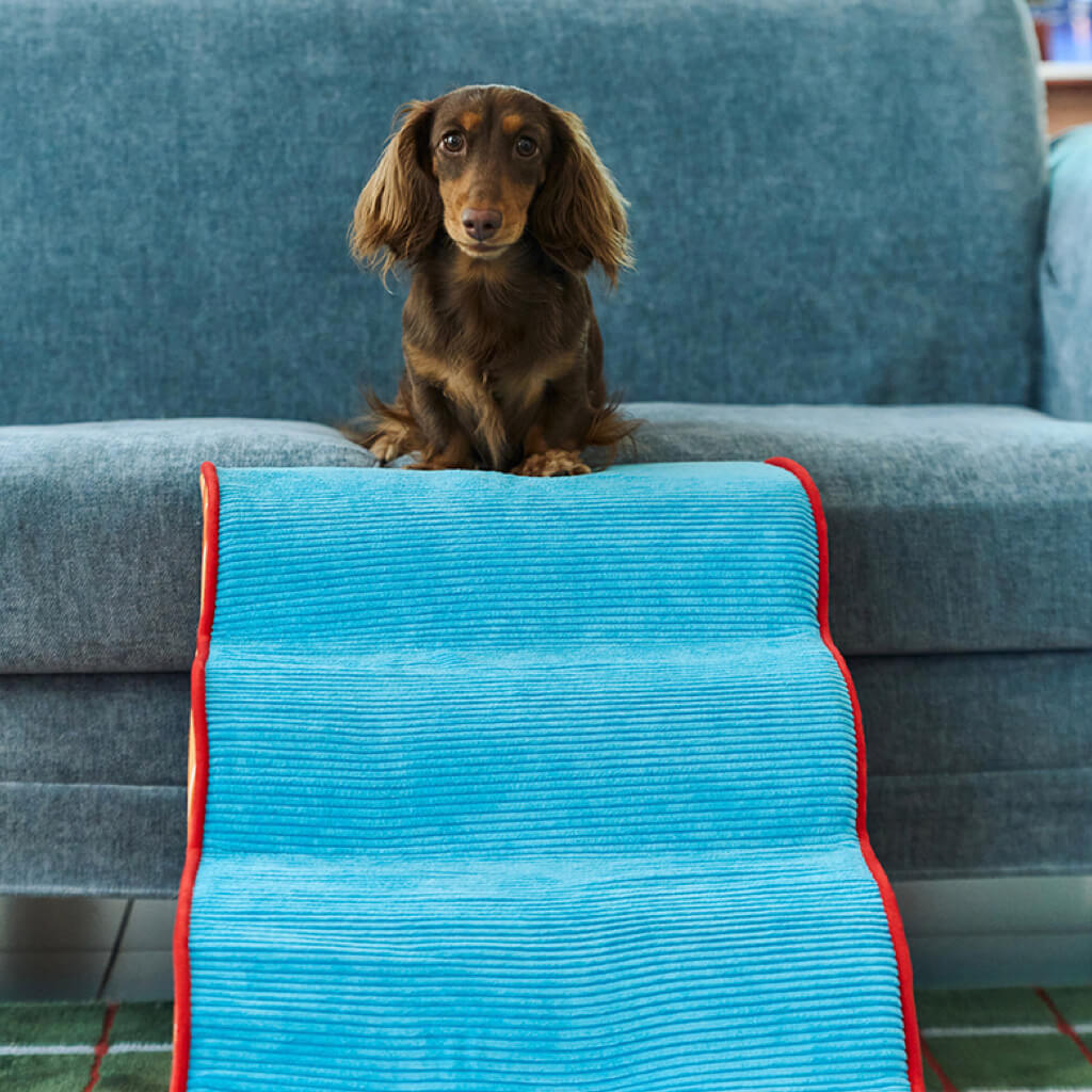 Close-up of paws on ZEZE foam pet stairs—textured, non-slip corduroy tread for secure grip.