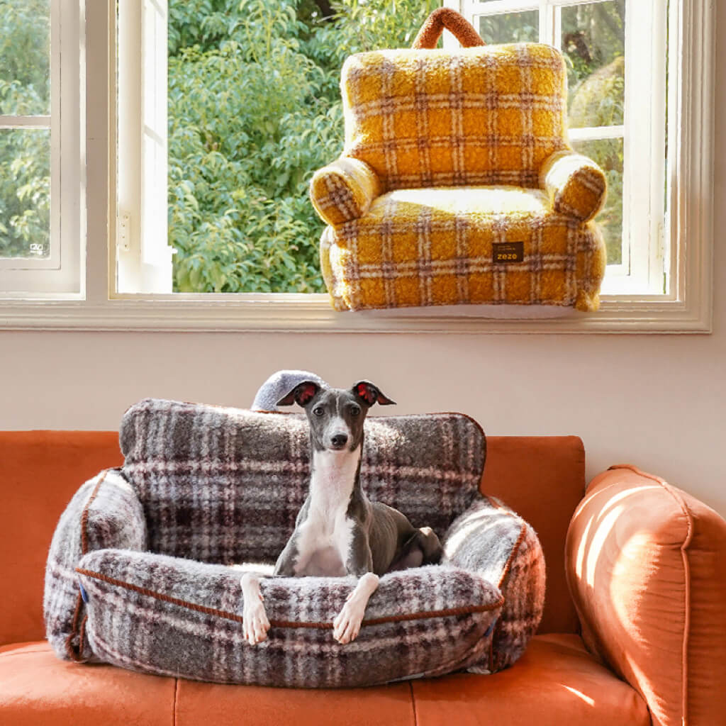 ZEZE Plaid Pet Sofa Bed—small dog on gray plaid couch; yellow armchair bed on windowsill; cozy cat & dog furniture.