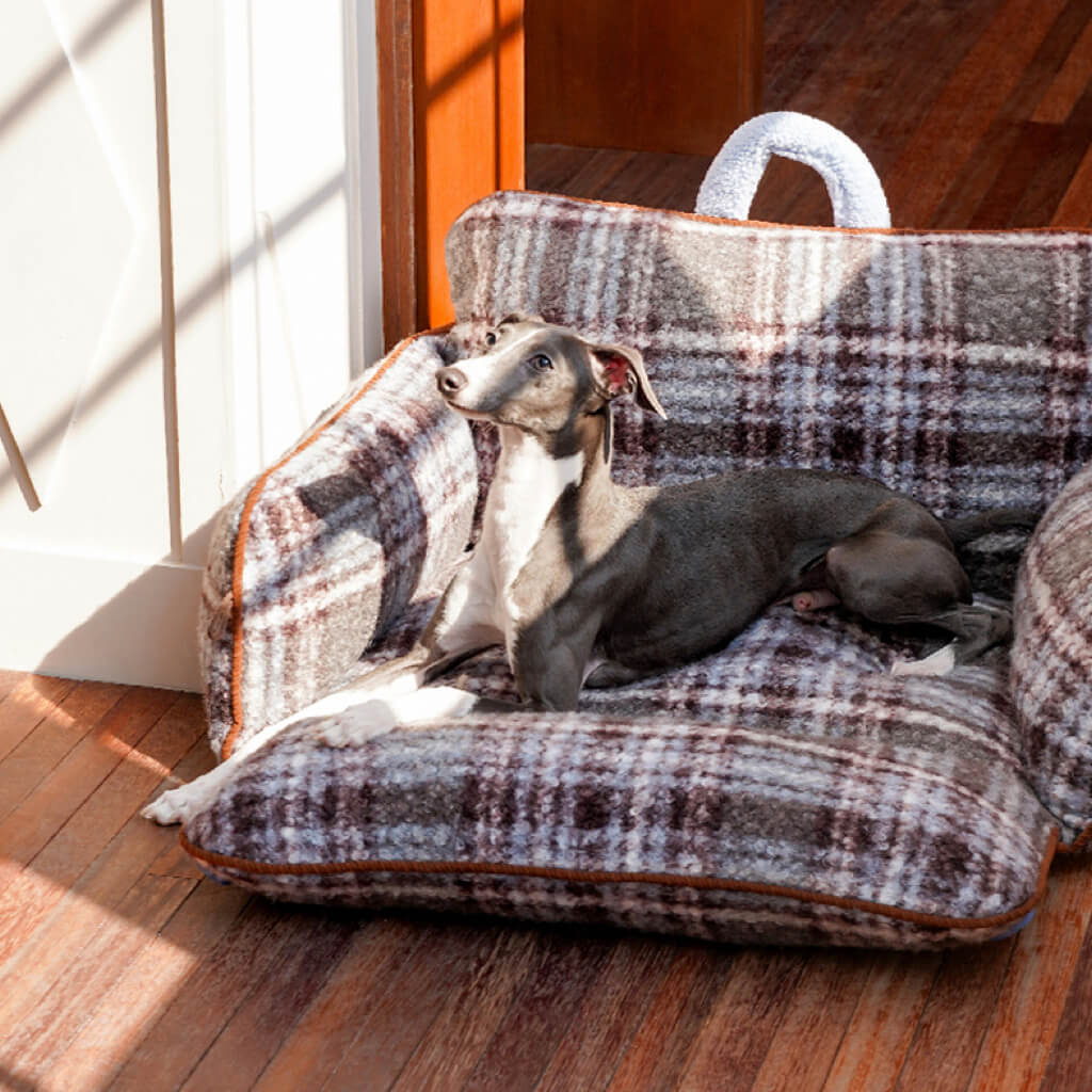 Sunlit ZEZE plaid pet sofa bed with raised bolsters and wide seat—comfortable dog and cat couch.