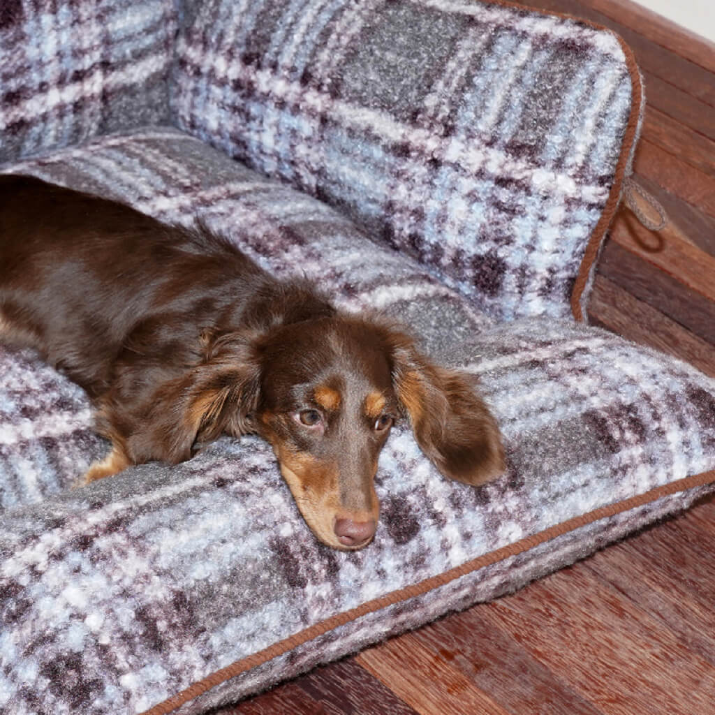 Close-up: plush padding on gray plaid bolster pet bed—gentle support for small dogs and cats.