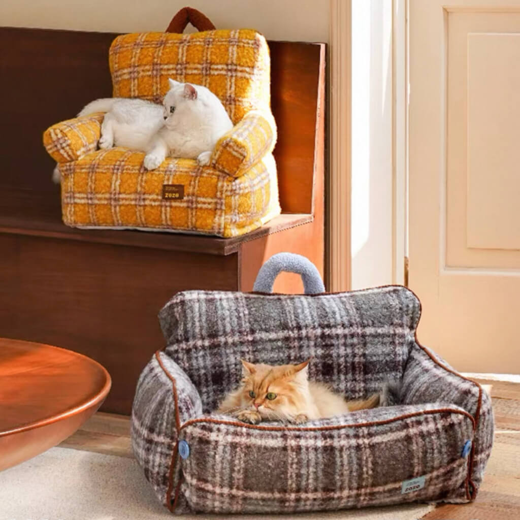 Cats on yellow plaid armchair and gray plaid sofa bed with bolsters—cozy cat couches in a sunlit room.