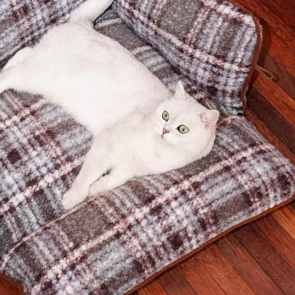 White cat stretched out on a large gray plaid pet sofa bed with backrest and bolsters.