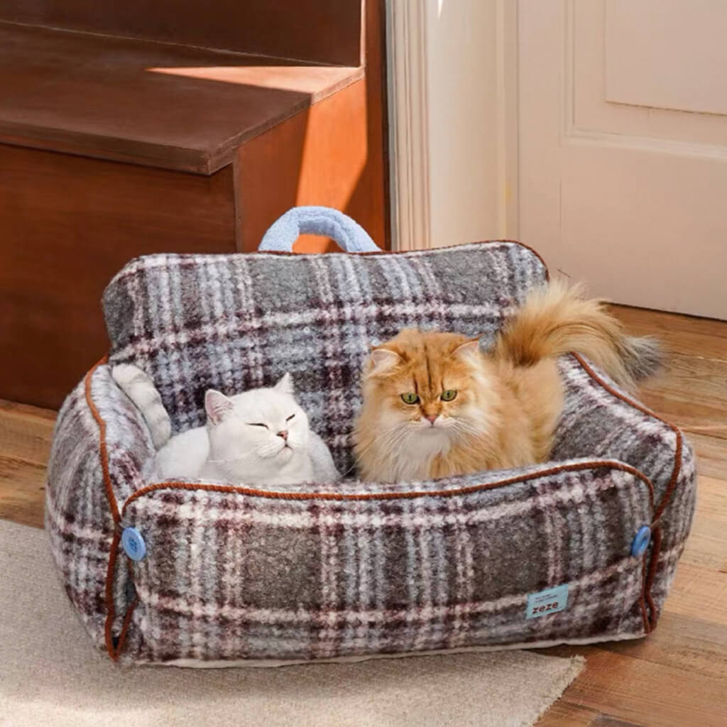 Two cats sharing a gray plaid sofa bed with bolsters—roomy cat couch for multi-cat homes.