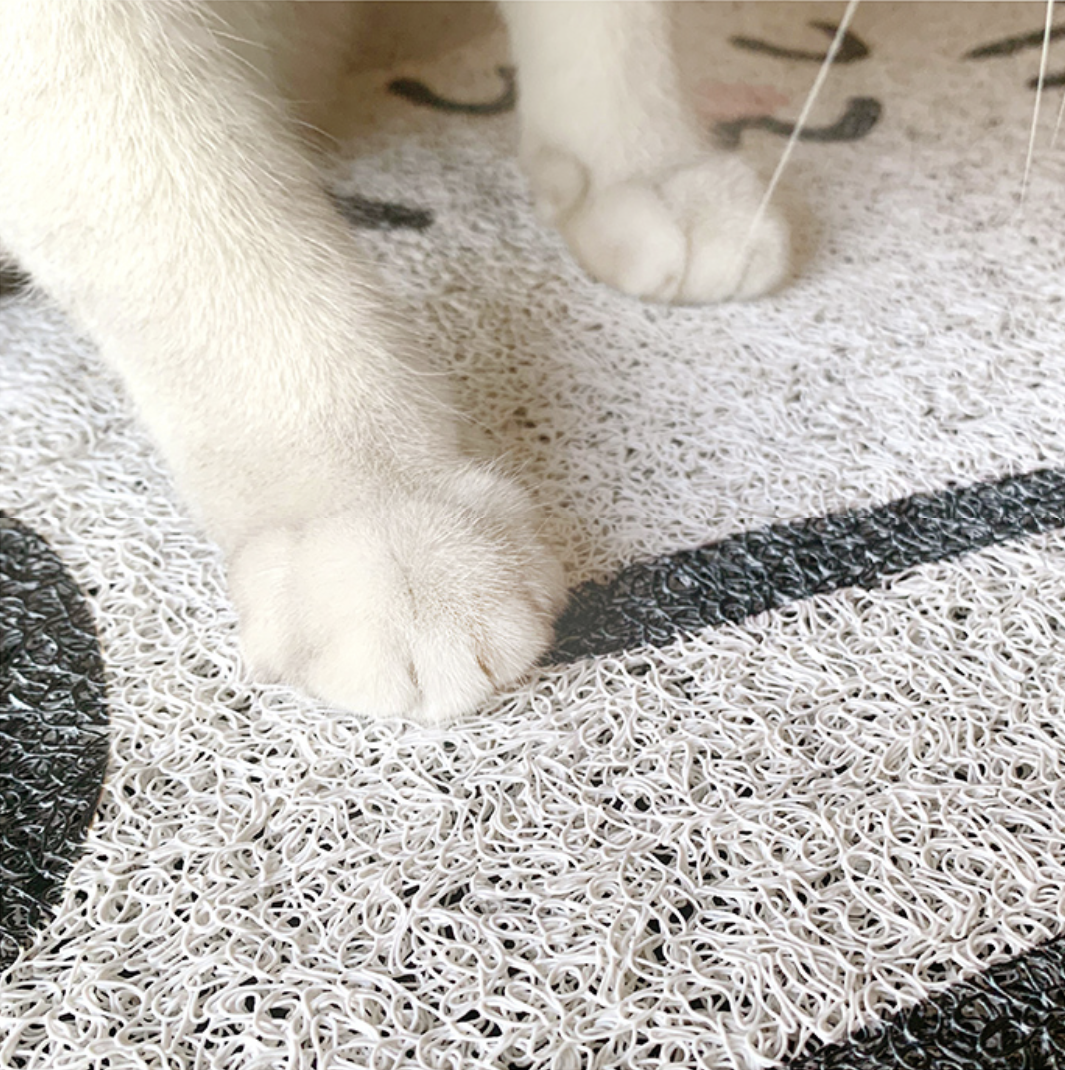 Feline Love Litter Carpet