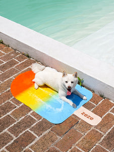 Popsicle Pet Cooling Mat
