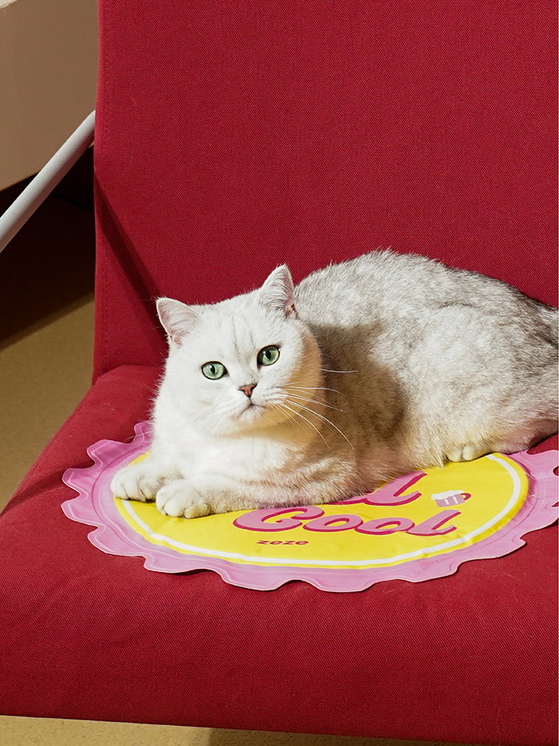Retro Style Cooling Pet Mat