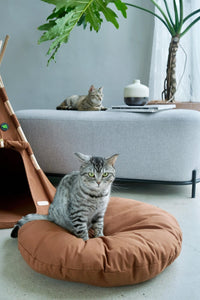Close-up of a cat standing on the soft interior cushion of the Boho Chic Pet Tent, showing the cozy and comfortable design crafted from top-notch fabric materials.