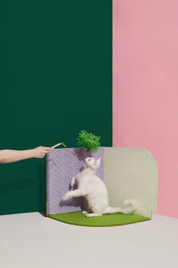 3-Dimensional Design Cat Scratcher Green by Purrre