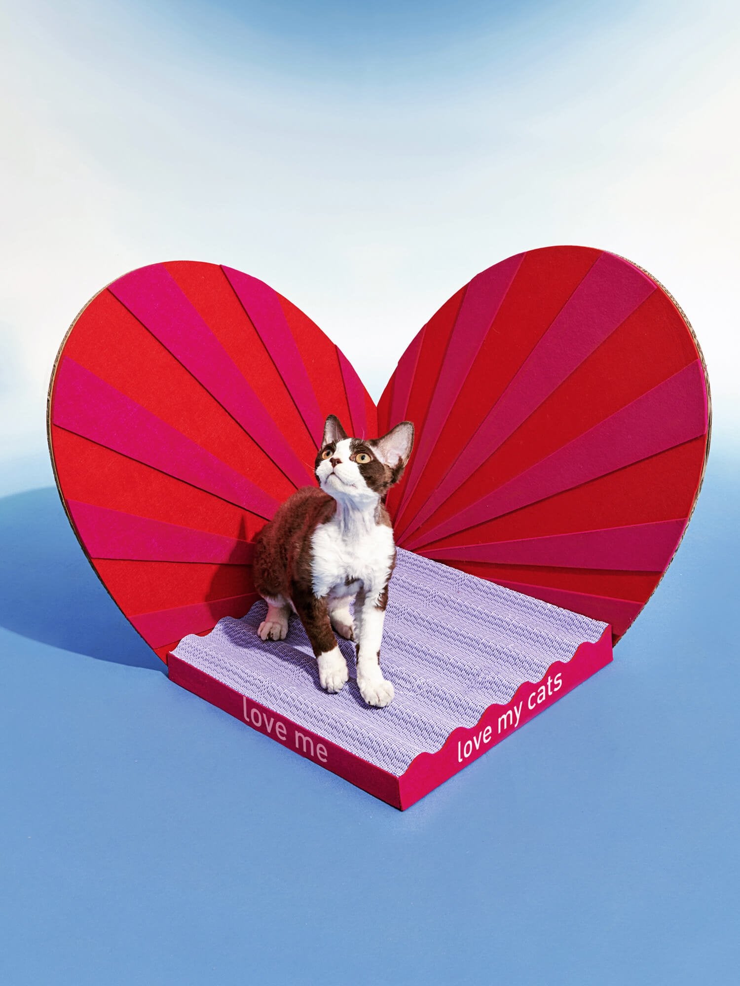 3-Dimensional Cat Scratcher - #Heartfelt Love – Pewos