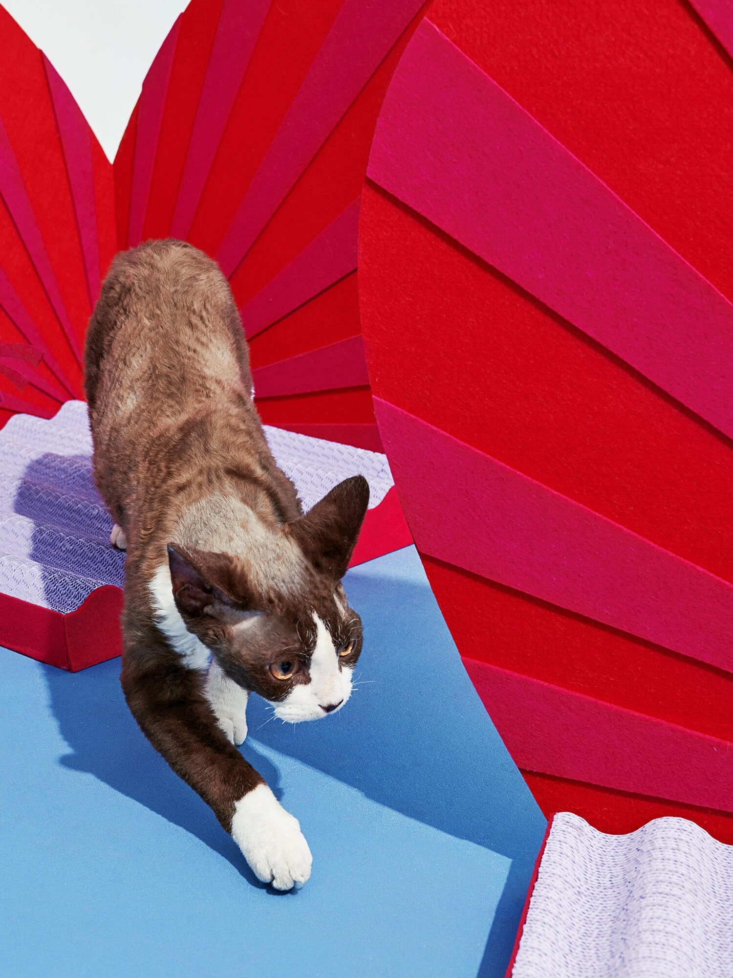 Love-themed cat scratcher, with a unique heart design, providing a fun spot for your feline.